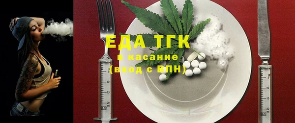 PSILOCYBIN Вяземский