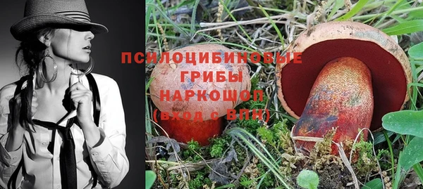 PSILOCYBIN Вяземский