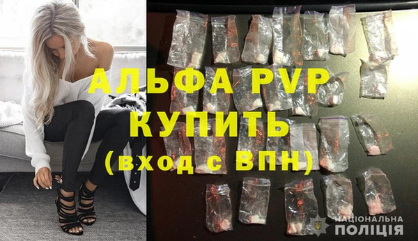 PSILOCYBIN Вяземский