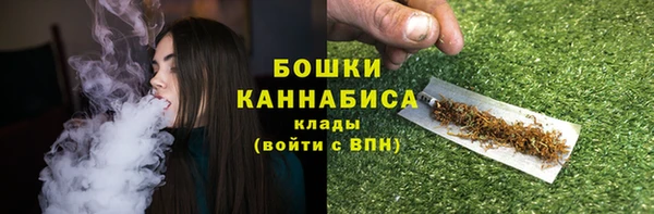 хмурый Бронницы