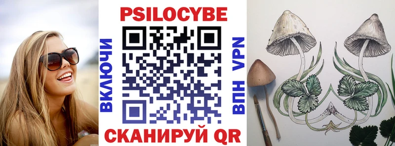 Псилоцибиновые грибы Magic Shrooms  kraken зеркало  Егорьевск  купить  сайты 